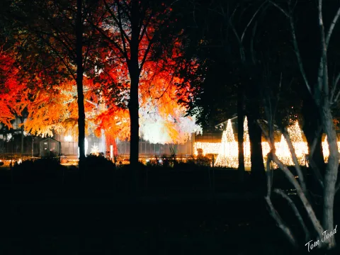DC-G9M2 · 45mm · f/1.8 · 1/50s · ISO 3200