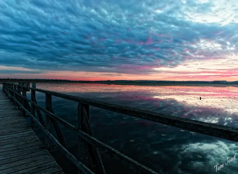 DC-GH6 · 12mm · f/2.8 · 1/60s · ISO 500
