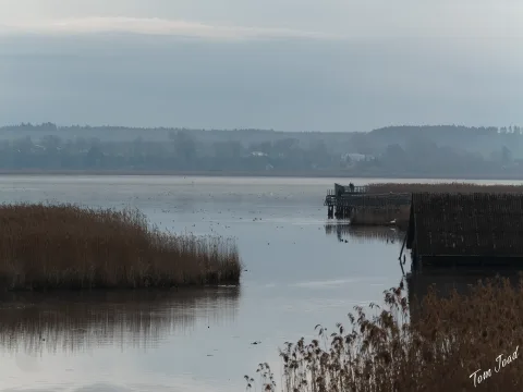 DC-G9M2 · 100mm · f/5.7 · 1/1000s · ISO 250