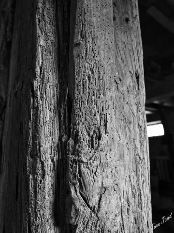 DC-G9M2 · 12mm · f/5 · 1/60s · ISO 1600