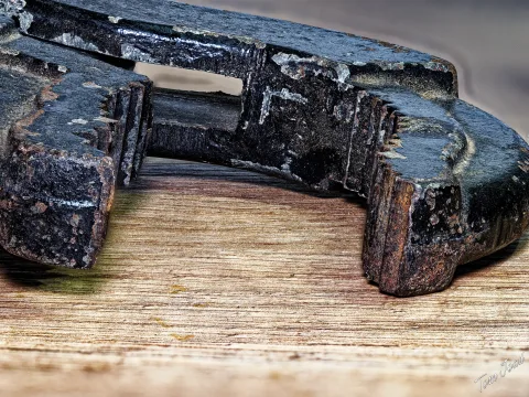 more macro photography