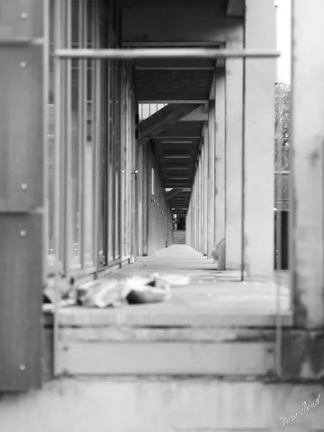 DC-G9M2 · 45mm · f/1.8 · 1/100s · ISO 100