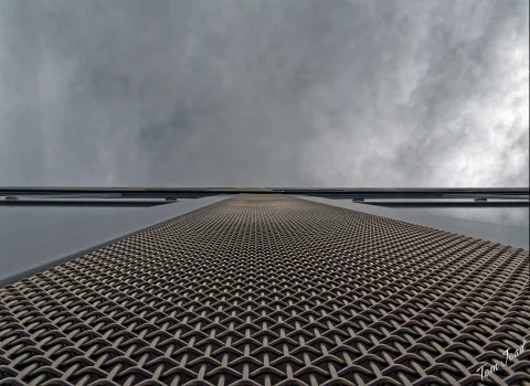 DC-G9M2 · 12mm · f/6.3 · 1/800s · ISO 100