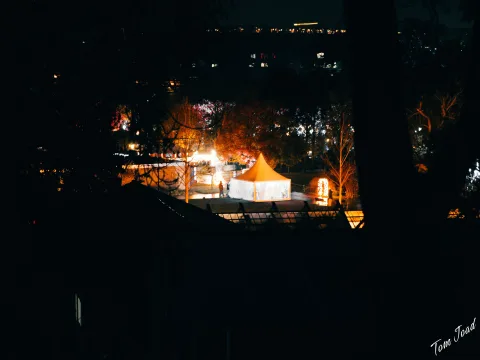 DC-G9M2 · 45mm · f/1.8 · 1/25s · ISO 3200