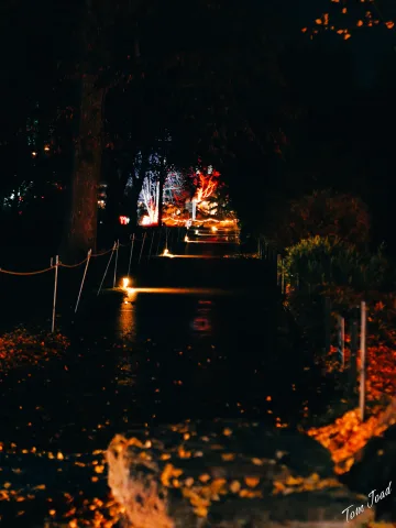 DC-G9M2 · 45mm · f/1.8 · 1/30s · ISO 3200