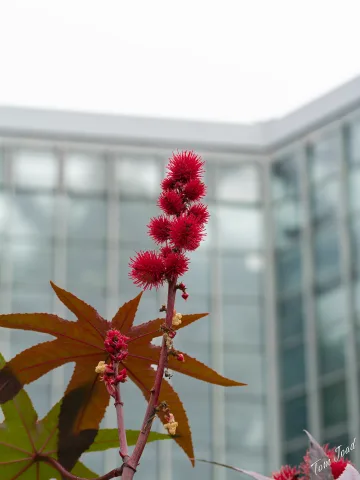 DC-G9M2 · 60mm · f/5.6 · 1/125s · ISO 160