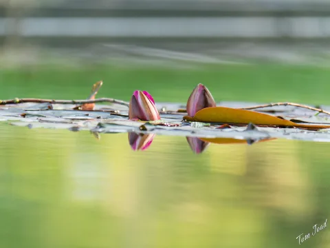 DC-G9M2 · 400mm · f/6.3 · 1/640s · ISO 1250