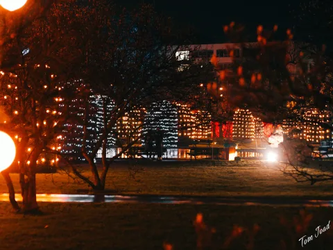 DC-G9M2 · 45mm · f/1.8 · 1/40s · ISO 3200