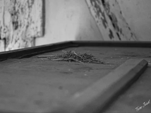 DC-G9M2 · 40mm · f/2.8 · 1/100s · ISO 5000