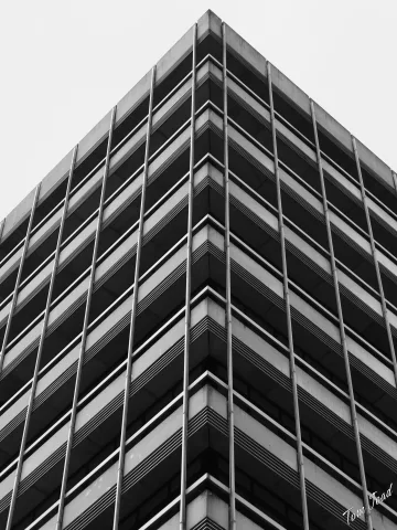 DC-G9M2 · 45mm · f/1.8 · 1/500s · ISO 100