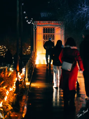 DC-G9M2 · 45mm · f/1.8 · 1/50s · ISO 3200