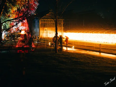 DC-G9M2 · 45mm · f/1.8 · 1/60s · ISO 3200
