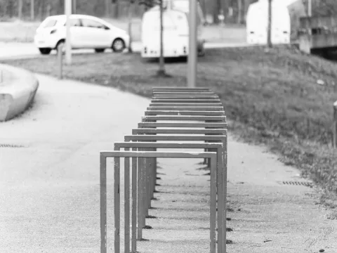 DC-G9M2 · 100mm · f/2.8 · 1/250s · ISO 250