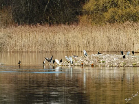 DC-G9M2 · 400mm · f/6.3 · 1/500s · ISO 125