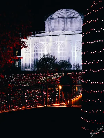 DC-G9M2 · 45mm · f/2.2 · 1/60s · ISO 3200