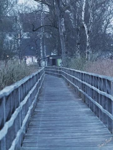 DC-G9M2 · 100mm · f/4.5 · 1/13s · ISO 6400