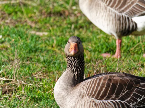 DC-G9M2 · 400mm · f/6.3 · 1/500s · ISO 160