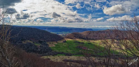 DC-G9M2 · 12mm · f/2.8 · 1/1600s · ISO 100