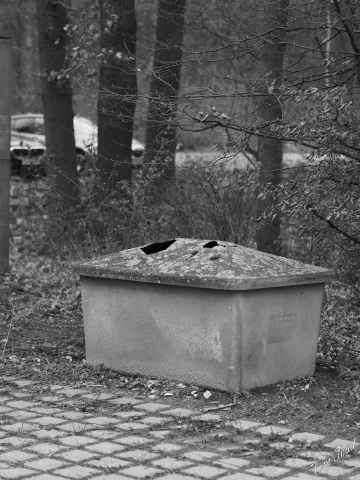 DC-G9M2 · 45mm · f/1.8 · 1/160s · ISO 100