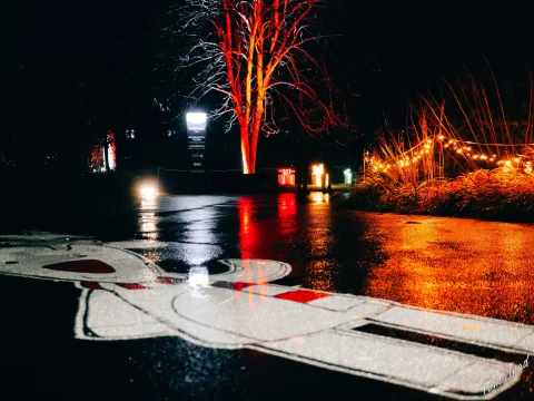 DC-G9M2 · 17mm · f/1.8 · 1/60s · ISO 2500