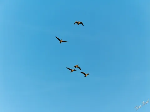 DC-G9M2 · 100mm · f/4 · 1/2000s · ISO 320