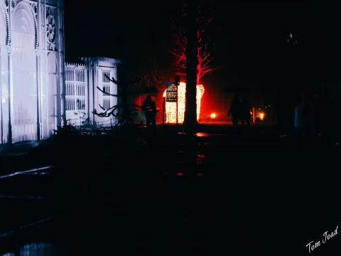 DC-G9M2 · 45mm · f/1.8 · 1/100s · ISO 2000