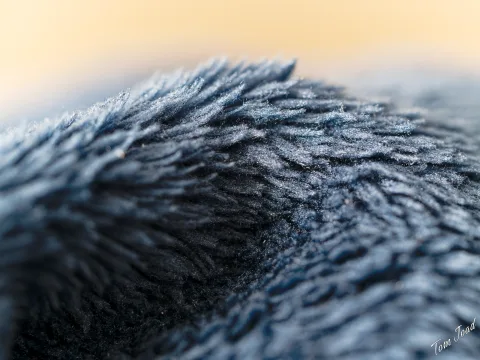 Patterns and Macro and Stuff