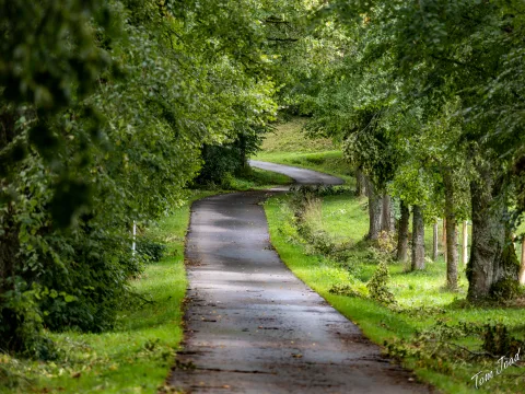 DC-GH6 · 150mm · f/2.8 · 1/160s · ISO 200