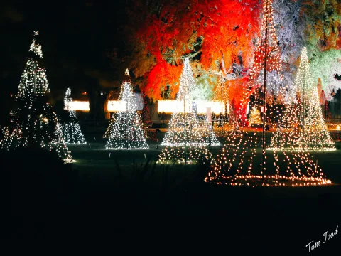 DC-G9M2 · 45mm · f/1.8 · 1/100s · ISO 3200