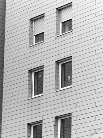 DC-G9M2 · 100mm · f/2.8 · 1/250s · ISO 250