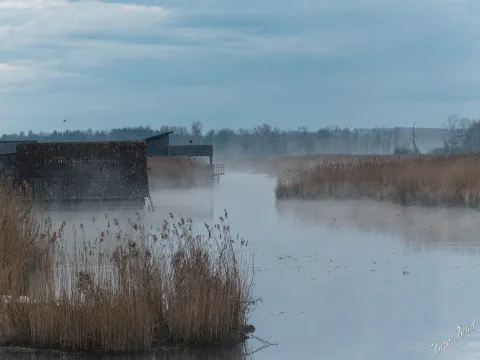 DC-G9M2 · 100mm · f/4.5 · 1/250s · ISO 800