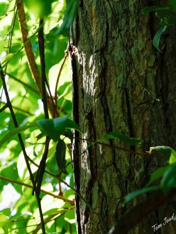 DC-G9M2 · 60mm · f/6.3 · 1/125s · ISO 640