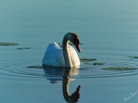 DC-G9M2 · 400mm · f/6.3 · 1/1000s · ISO 250