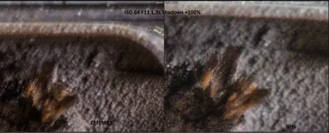 Panasonic GH6 vs OM-D E-M1 Mark II Noise Test