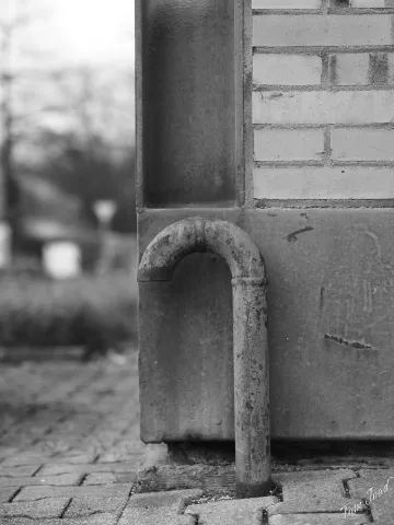 DC-G9M2 · 45mm · f/1.8 · 1/250s · ISO 100