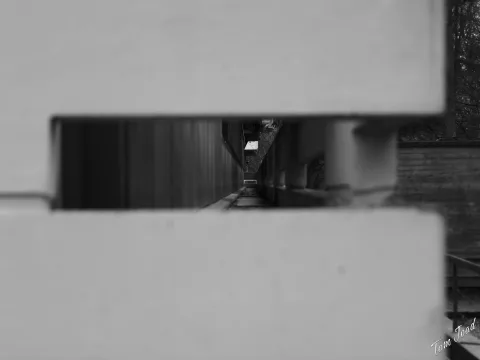 DC-G9M2 · 45mm · f/1.8 · 1/400s · ISO 100