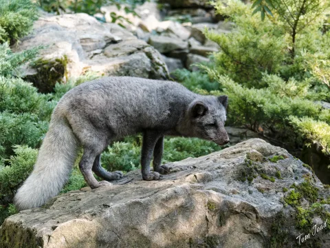 DC-G9M2 · 100mm · f/4 · 1/800s · ISO 3200