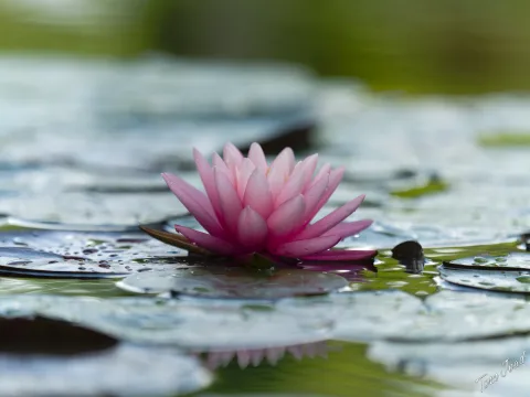 DC-G9M2 · 150mm · f/2.8 · 1/400s · ISO 100