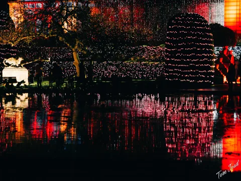DC-G9M2 · 45mm · f/1.8 · 1/60s · ISO 3200