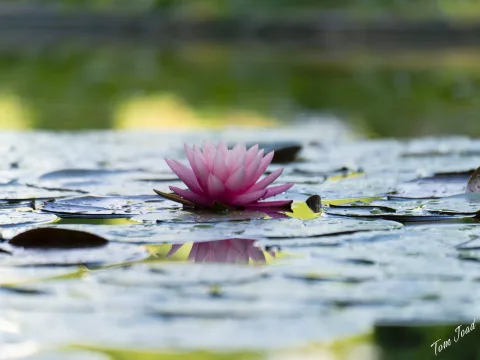 DC-G9M2 · 100mm · f/2.8 · 1/500s · ISO 100