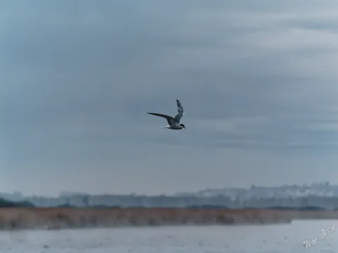 DC-G9M2 · 124mm · f/4.5 · 1/320s · ISO 1250