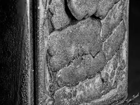 Macro Photography
