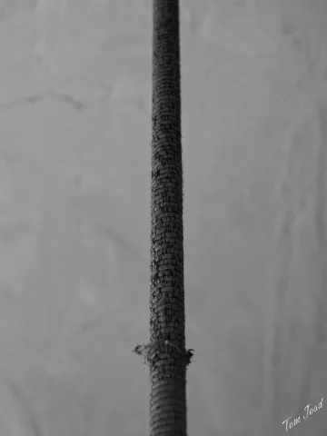 DC-G9M2 · 40mm · f/5.6 · 1/100s · ISO 1000