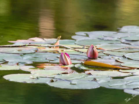 DC-G9M2 · 400mm · f/6.3 · 1/640s · ISO 1600