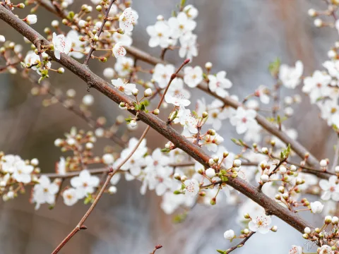DC-G9M2 · 400mm · f/7.1 · 1/640s · ISO 1250