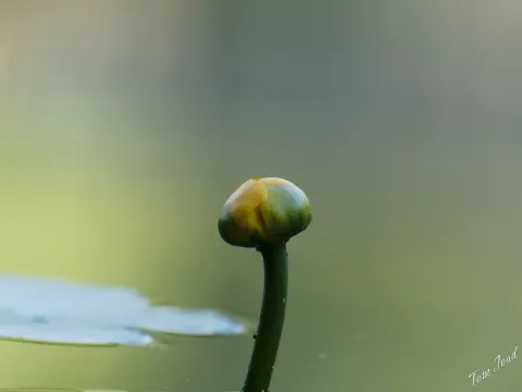 DC-G9M2 · 400mm · f/6.3 · 1/640s · ISO 1250