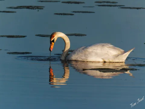 DC-G9M2 · 400mm · f/6.3 · 1/2000s · ISO 640