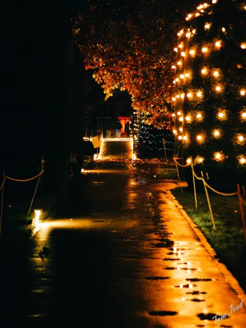DC-G9M2 · 45mm · f/1.8 · 1/40s · ISO 3200