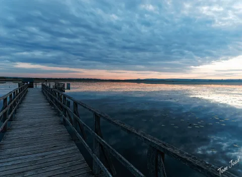 DC-GH6 · 12mm · f/2.8 · 1/60s · ISO 1250