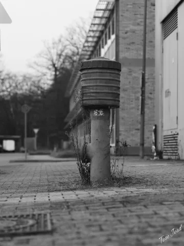 DC-G9M2 · 45mm · f/1.8 · 1/500s · ISO 100